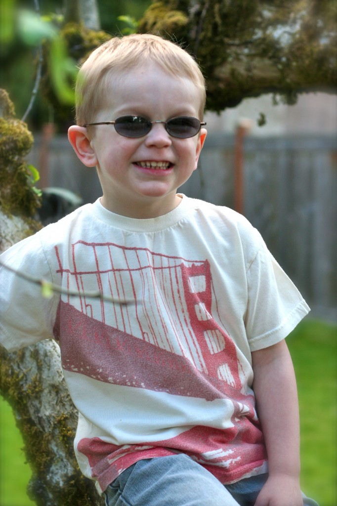 Barley & Birch Bridge Tee