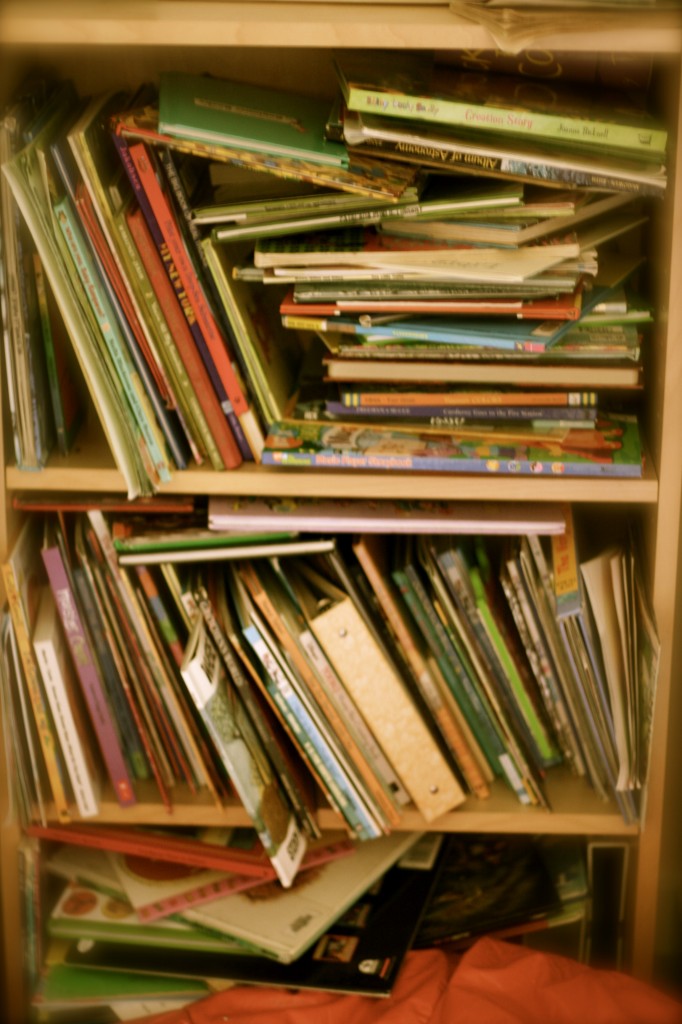 disheveled bookshelf