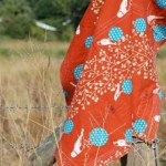 blanket