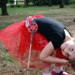 cat_ladybug ladybug tutu