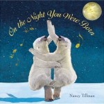 on the night book