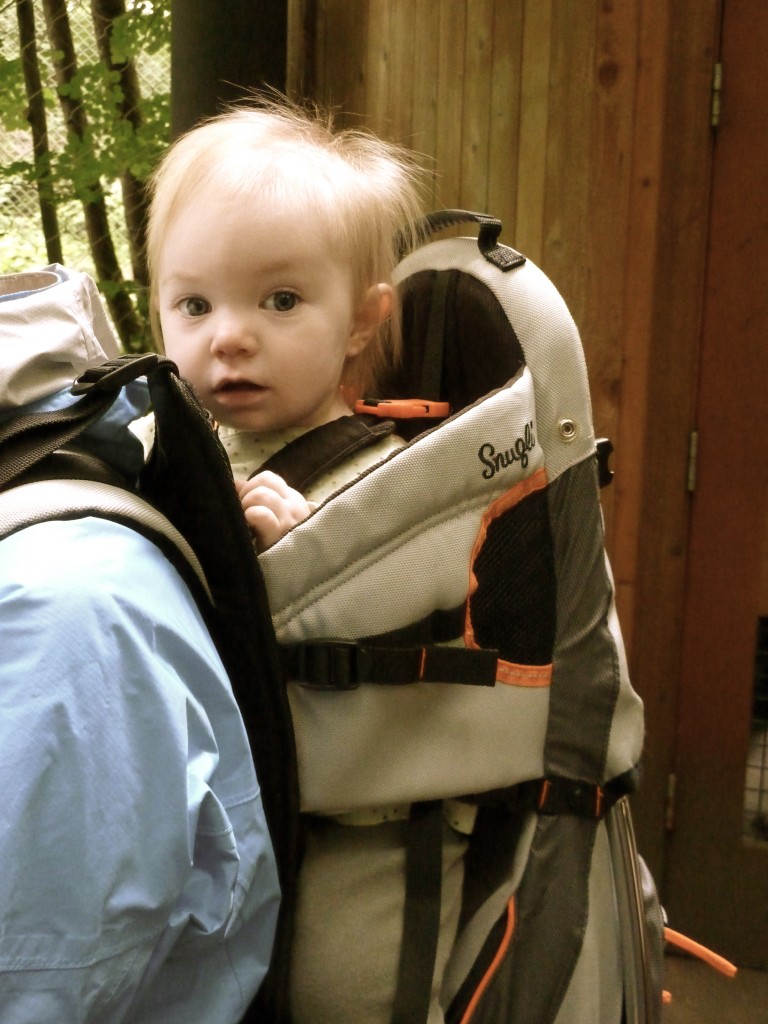 baby girl in the hiking backpack