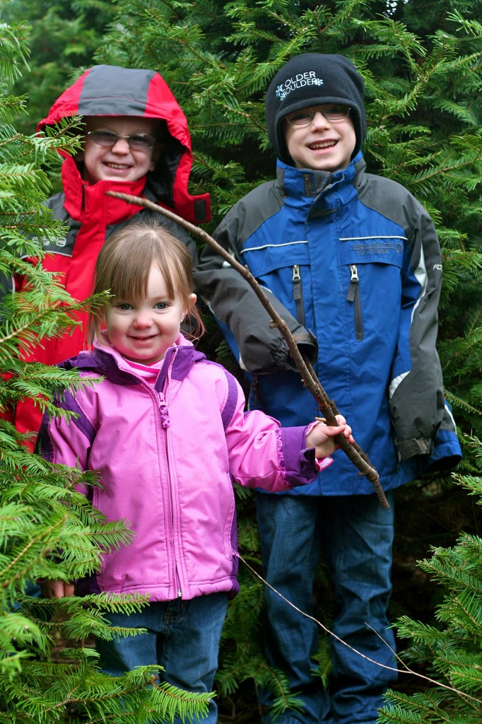 We found our tree...