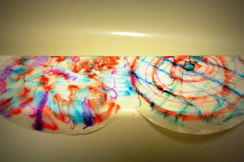 Drying Coffee Filter Butterfly