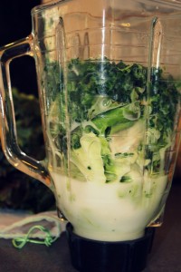 Add a little liquid and now it's time to blend Add a little liquid and now it's time to blend