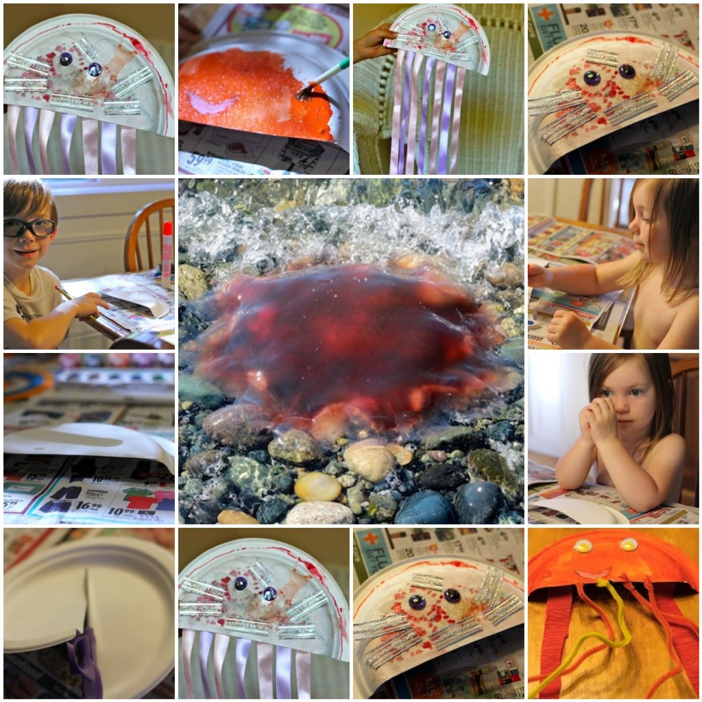 Jellyfish Project