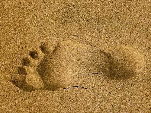 One step at a time. One step at a time.