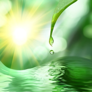 Water, water, every where,: Nor any drop to drink Water, water, every where,: Nor any drop to drink