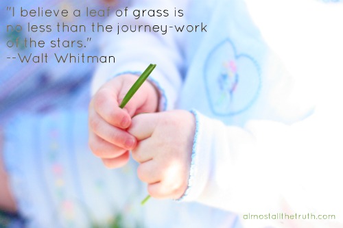 Almost All The Truth - Leaf of Grass Almost All The Truth - Leaf of Grass