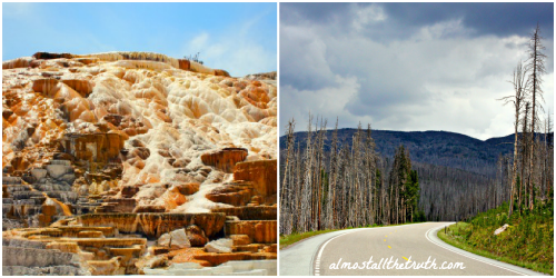 Almost All The Truth - Natural Change in Yellowstone Almost All The Truth - Natural Change in Yellowstone