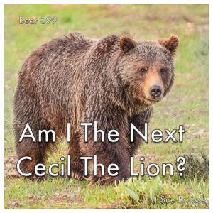Almost All The Truth - bear 399