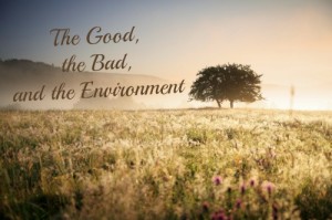The Good, the Bad, and the Environment